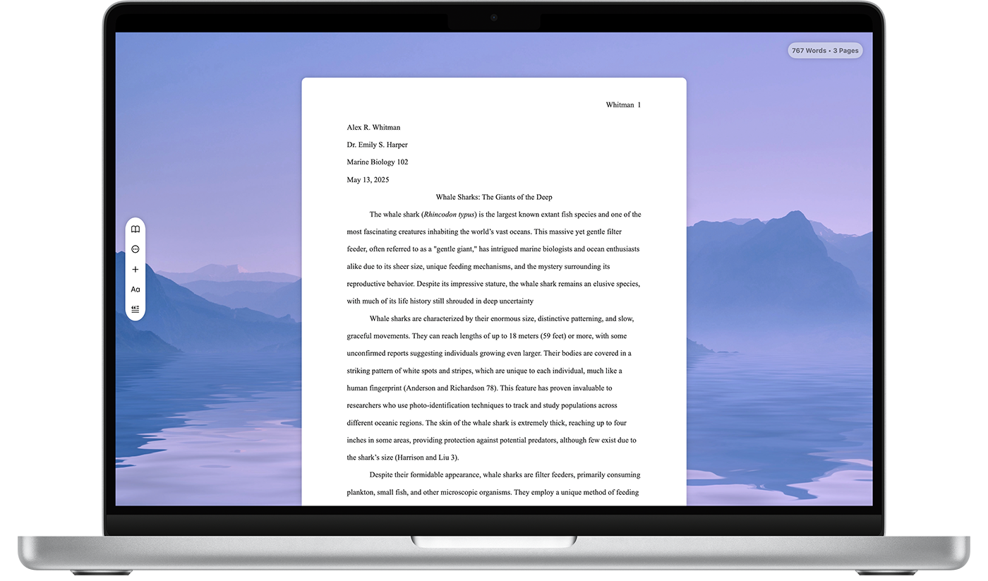 Essayist writing app interface before redesign